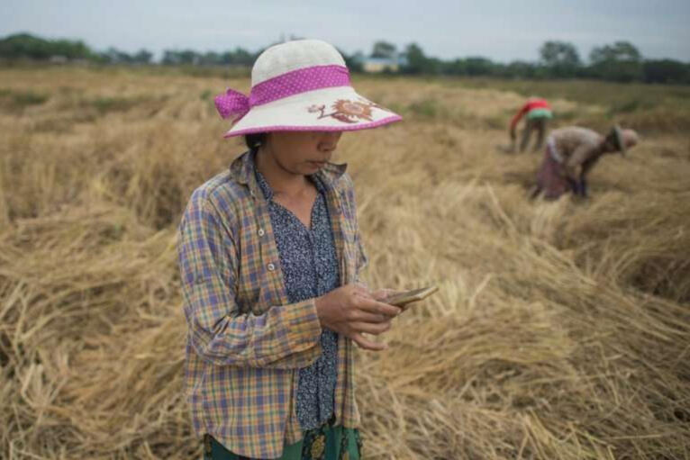 Myanmar Farmer with Phone - Image Credit phys.org